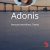 دانلود قالب وردپرس Adonis