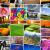 افزونه Pixabay Images|1251