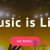 دانلود قالب وردپرس Musican