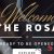دانلود قالب وردپرس Rosa Lite