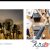 دانلود قالب وردپرس X Blog Plus